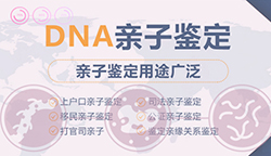 凉山怀孕几个月怎么鉴定宝宝是谁的，凉山怀孕亲子鉴定大概价格