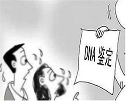 凉山司法DNA鉴定多少费用，凉山司法DNA亲子鉴定需要怎么办理